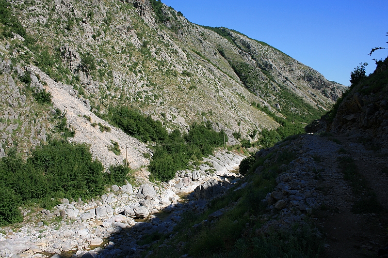 Albania 2008 100
